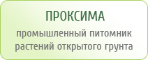 Проксима