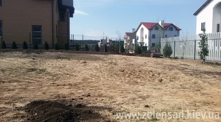 Ландшафтный дизайн