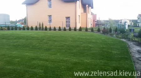 Посадка деревьев и кустов, рулонный газон