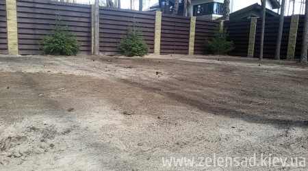 Автополив, посевной газон