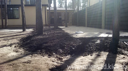 Автополив, посевной газон