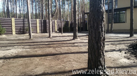 Автополив, посевной газон