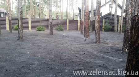 Автополив, посевной газон