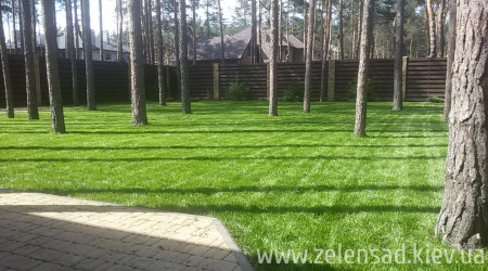 Автополив, посевной газон