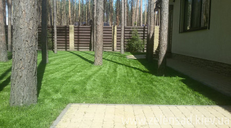 Автополив, посевной газон