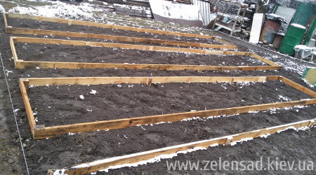 Капельный полив клубники