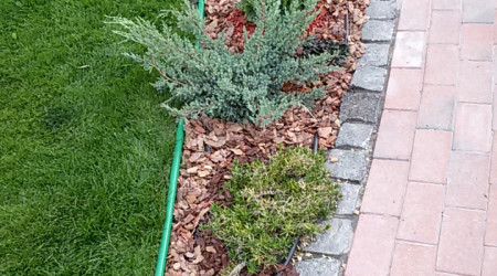 Цветники и клумбы