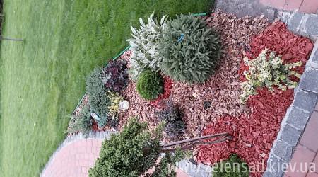 Цветники и клумбы